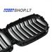 BMW X5 (G05) Performance priekinės grotelės